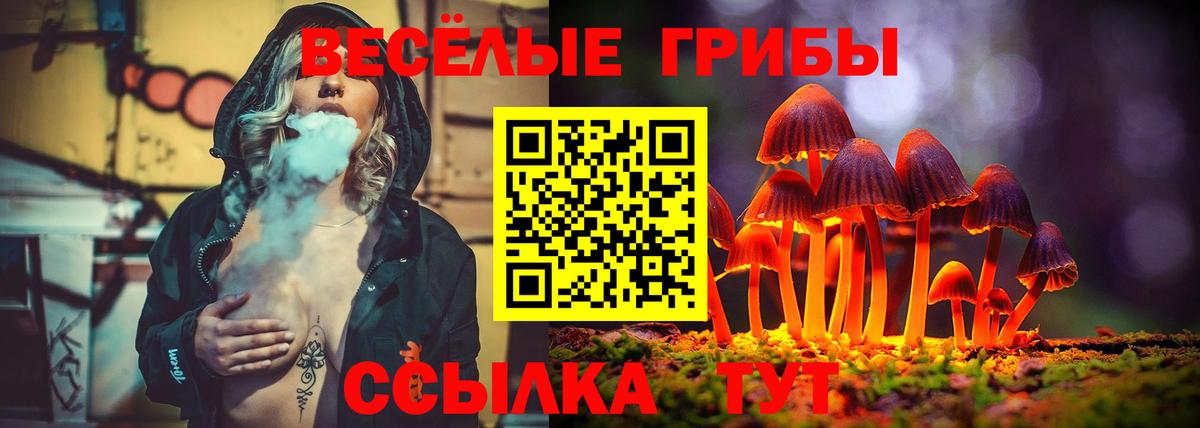 Рубцовск  Галлюциногенные грибы мицелий  Галлюциногенные грибы мухоморы  Вход с VPN 